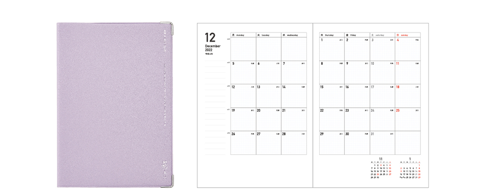 Fleek diary B6